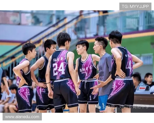 全国锦标赛特别报道：成都篮球队不屈不挠的奋斗历程与荣耀时刻