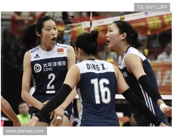 全国锦标赛积分榜更新北京排球队以77分稳居第一名