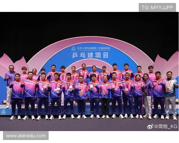 乒乓球的魅力与节奏上海乒乓球队的深度解析与发展之路